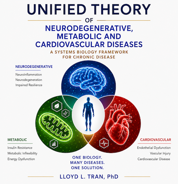Unified Theory