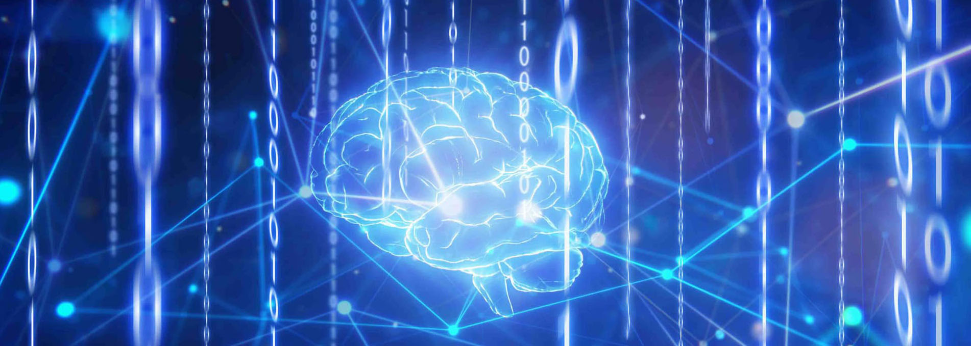 Neural Network